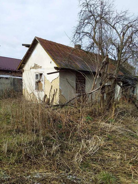 ) Сороки