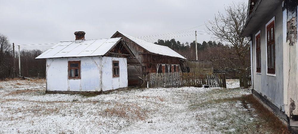 Панькова