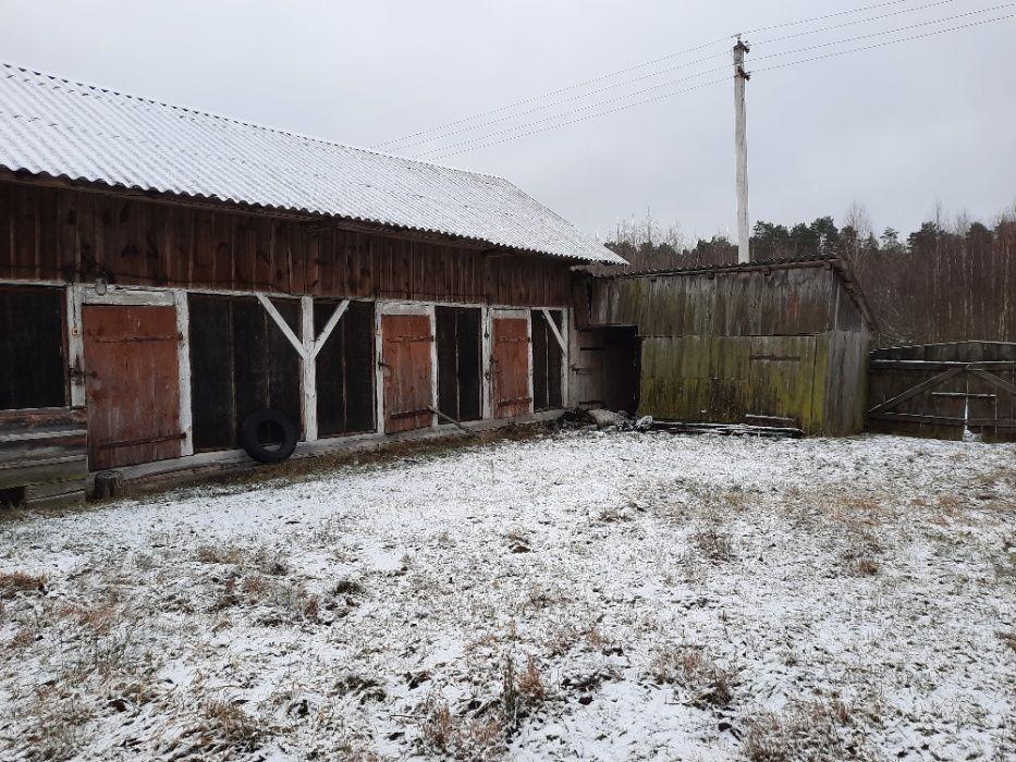 Панькова