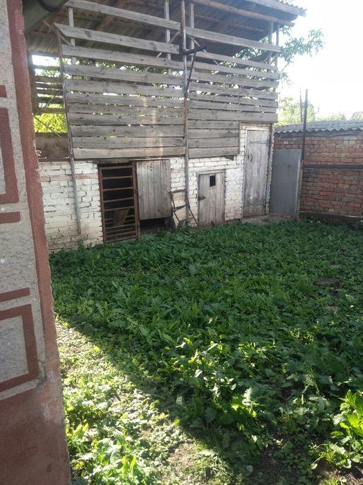 Червоне