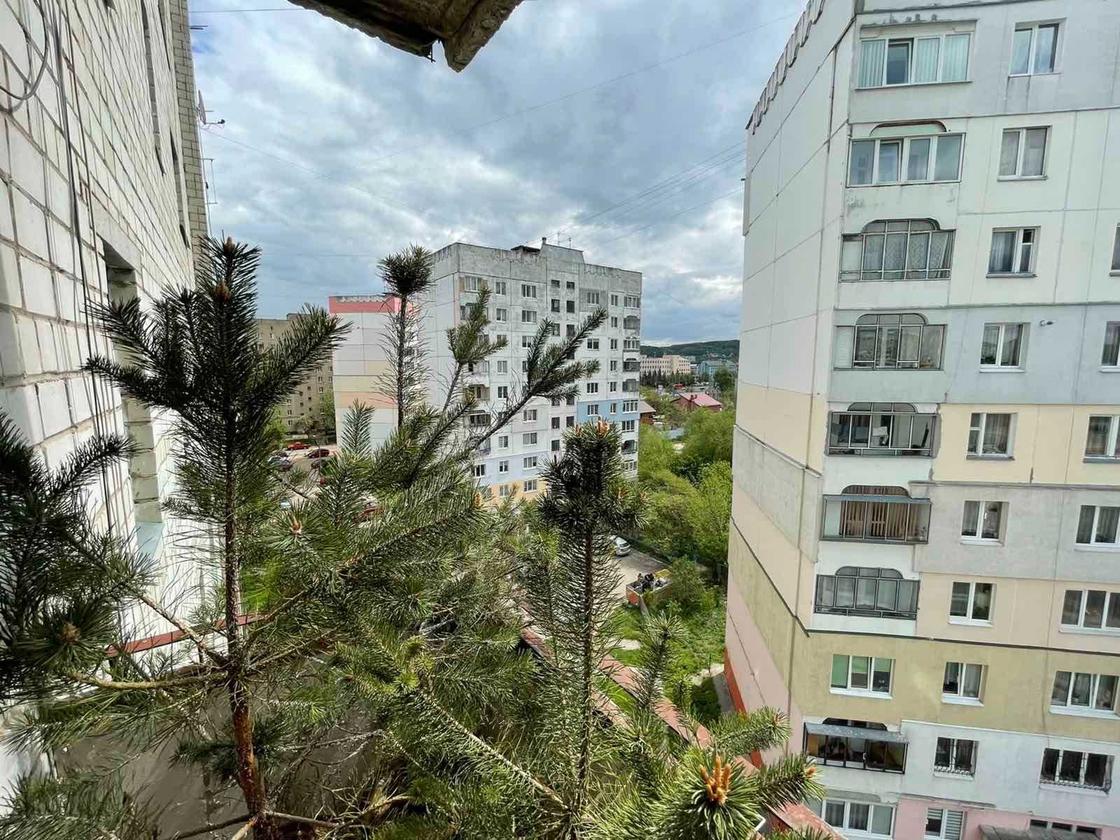 Грінченка, Шевченківський район