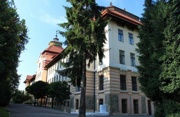Чупринки, Франківський район