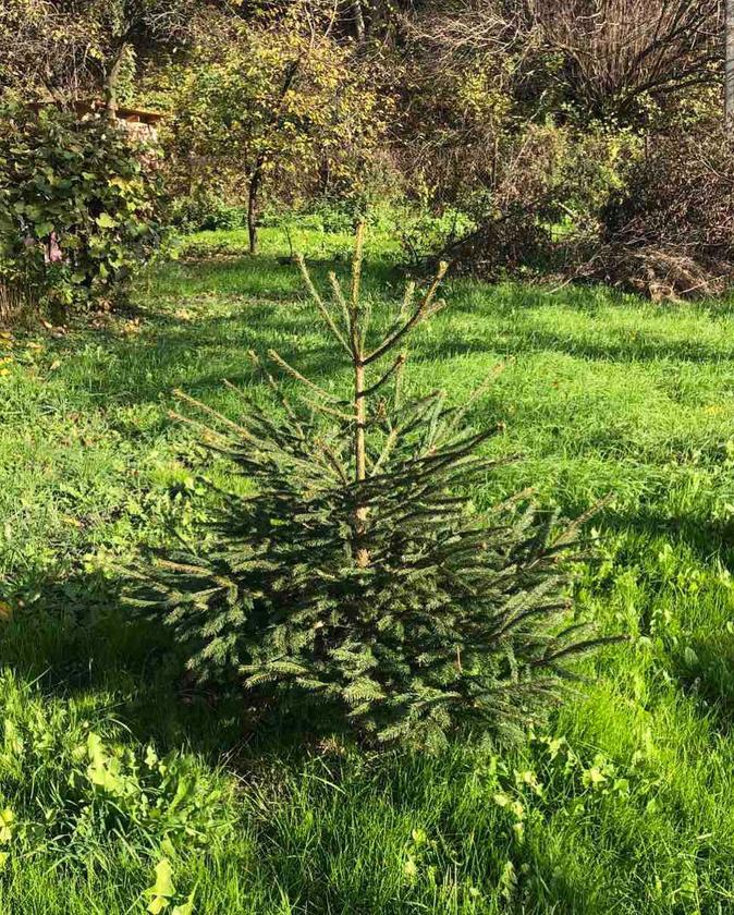 Медової печери, Личаківський район