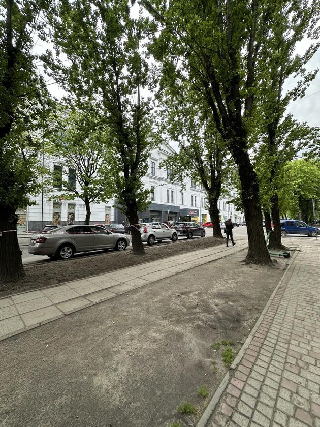 Героїв УПА, Франківський район