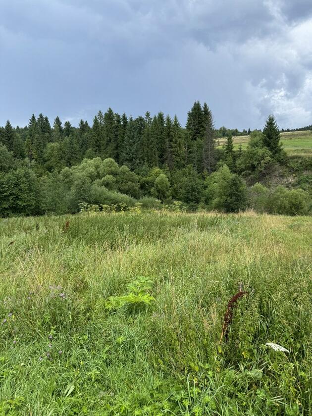 с.Верхнє, Самбірського району, Шевченківський район