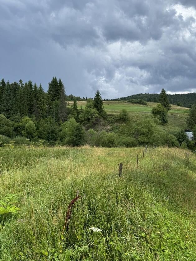 с.Верхнє, Самбірського району, Шевченківський район