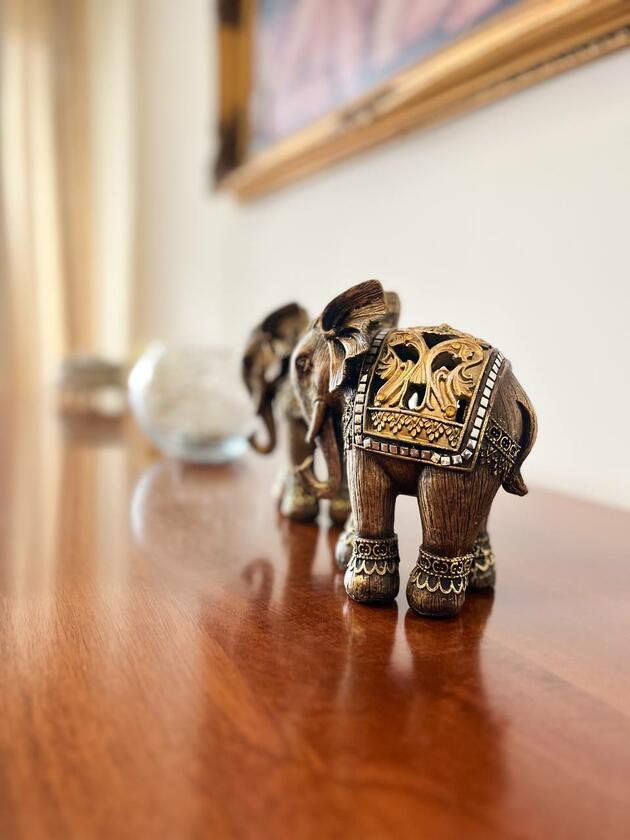 Пасічна, Сихівський район Пасічна, Сихівський район