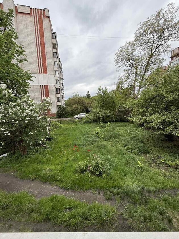 Панча, Шевченківський район