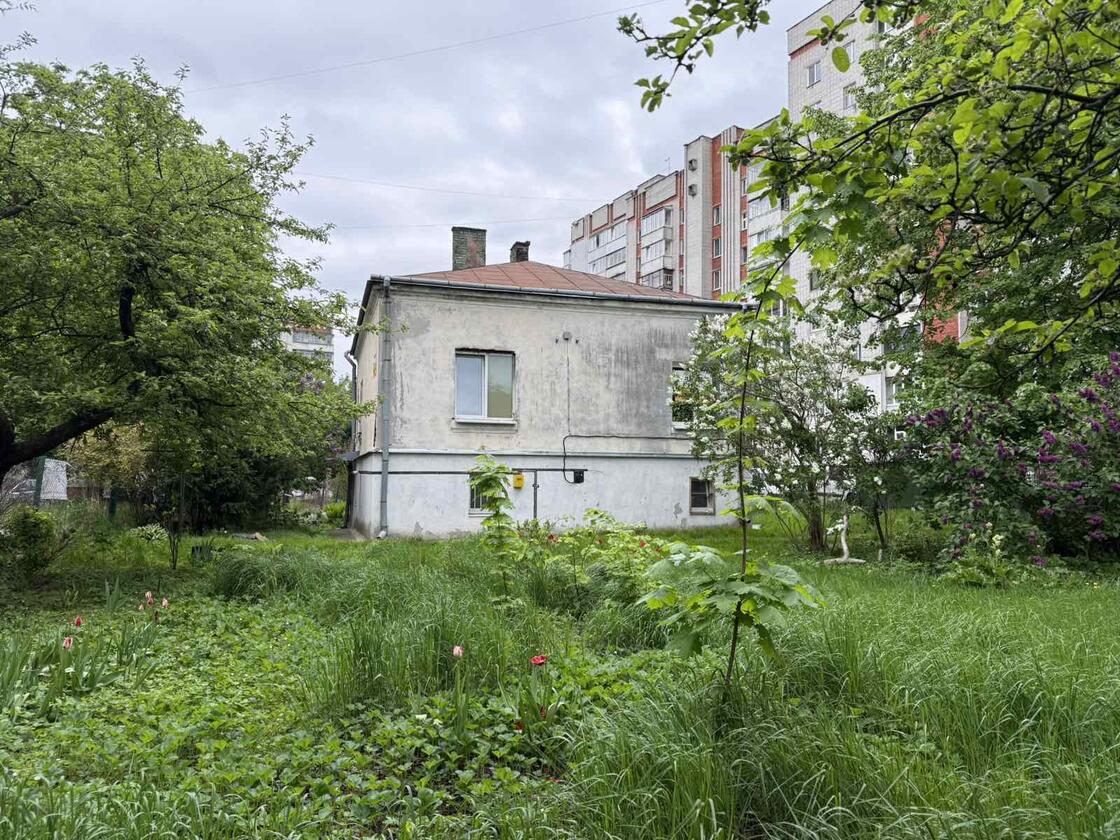 Панча, Шевченківський район