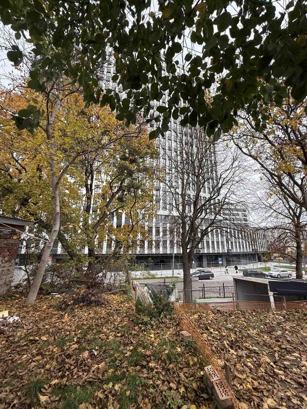 Замарстинівська, Шевченківський район Замарстинівська, Шевченківський район