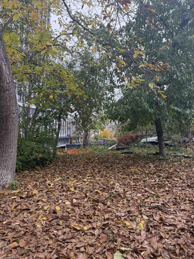 Замарстинівська, Шевченківський район Замарстинівська, Шевченківський район