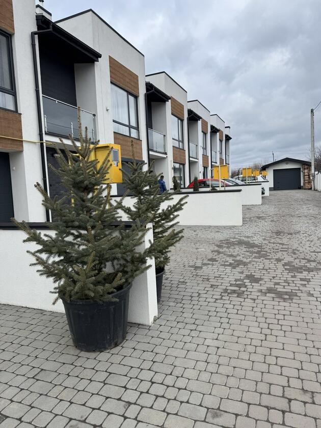 Зубра, Сихівський район Зубра, Сихівський район