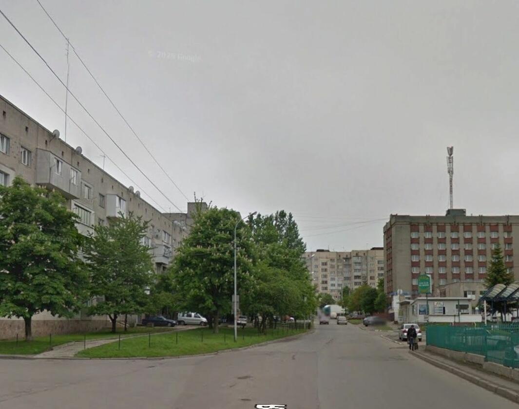 Володимира Великого, Франківський район