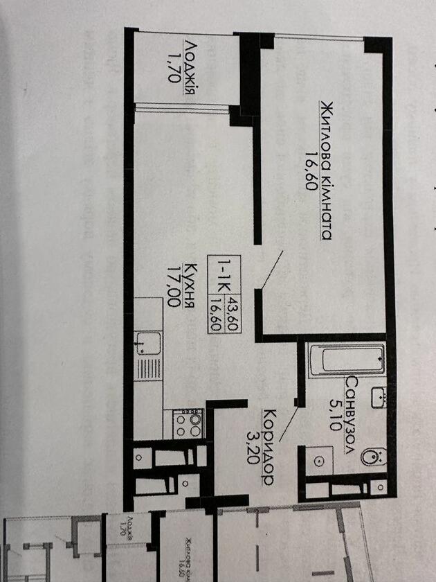 Топольна, Шевченківський район Топольна, Шевченківський район