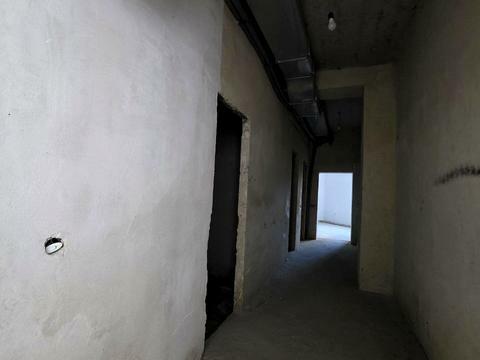 Плугова, Шевченківський район