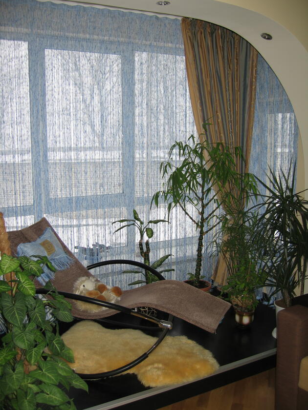 Глинянський тракт 55, Личаківський район