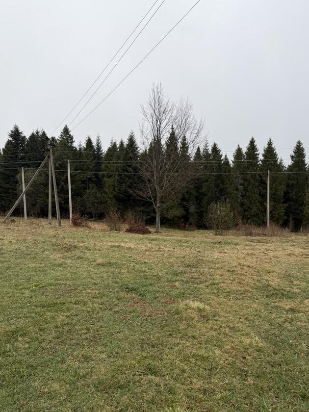 Сянки, Франківський район