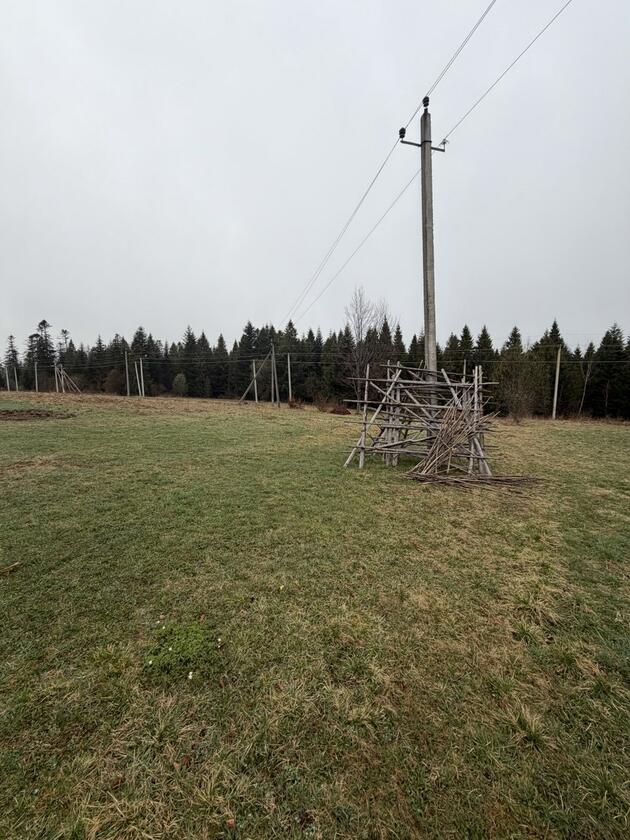 Сянки, Франківський район