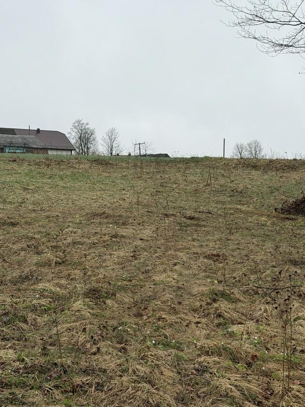 Сянки, Франківський район