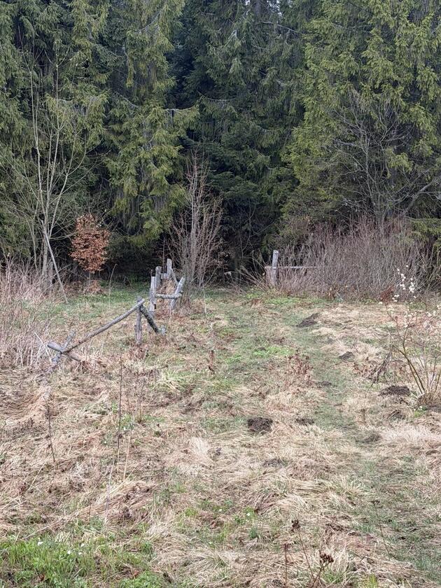 Сянки, Франківський район