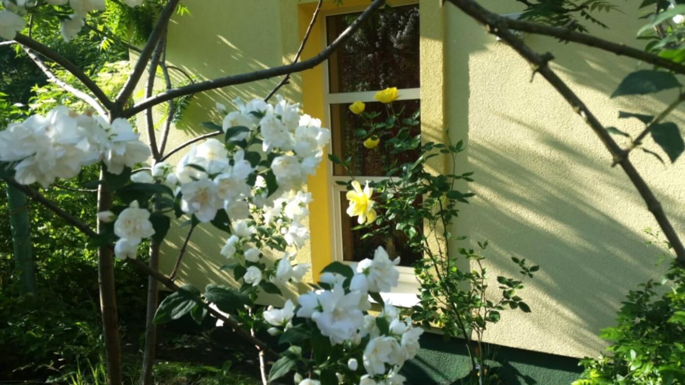 Шполянська 18a, Шевченківський район