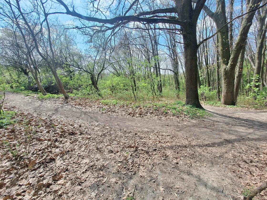 Ланова, Шевченківський район