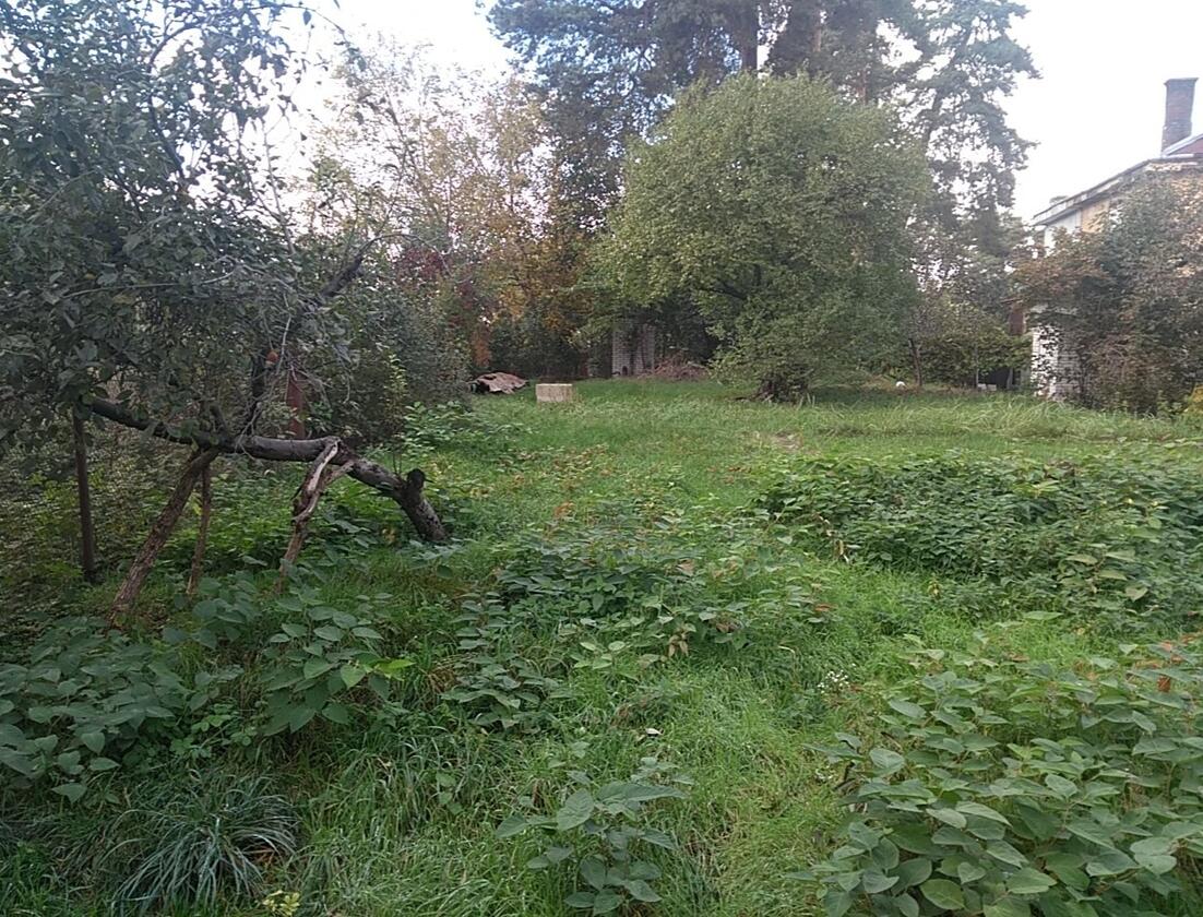 смт.Брюховичі, Шевченківський район